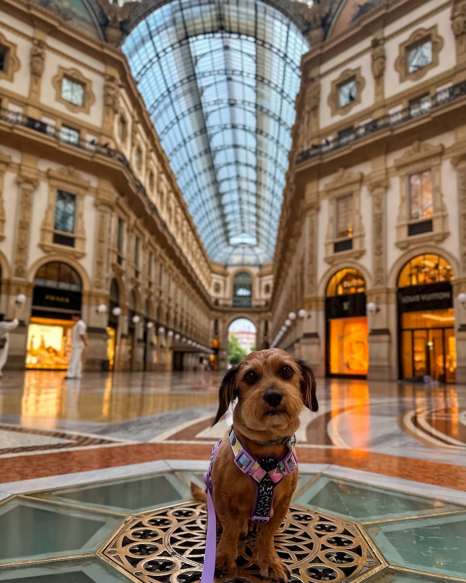 Milan, Galleria Vittorio Emanuele II