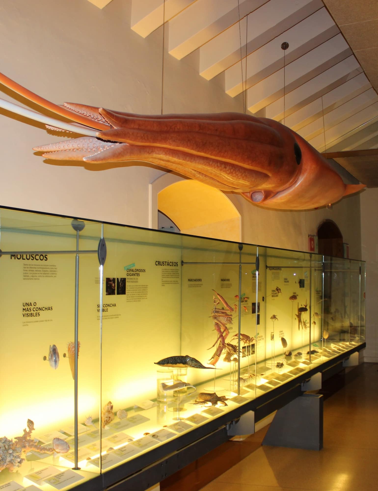 Museum of Nature and Man, Tenerife