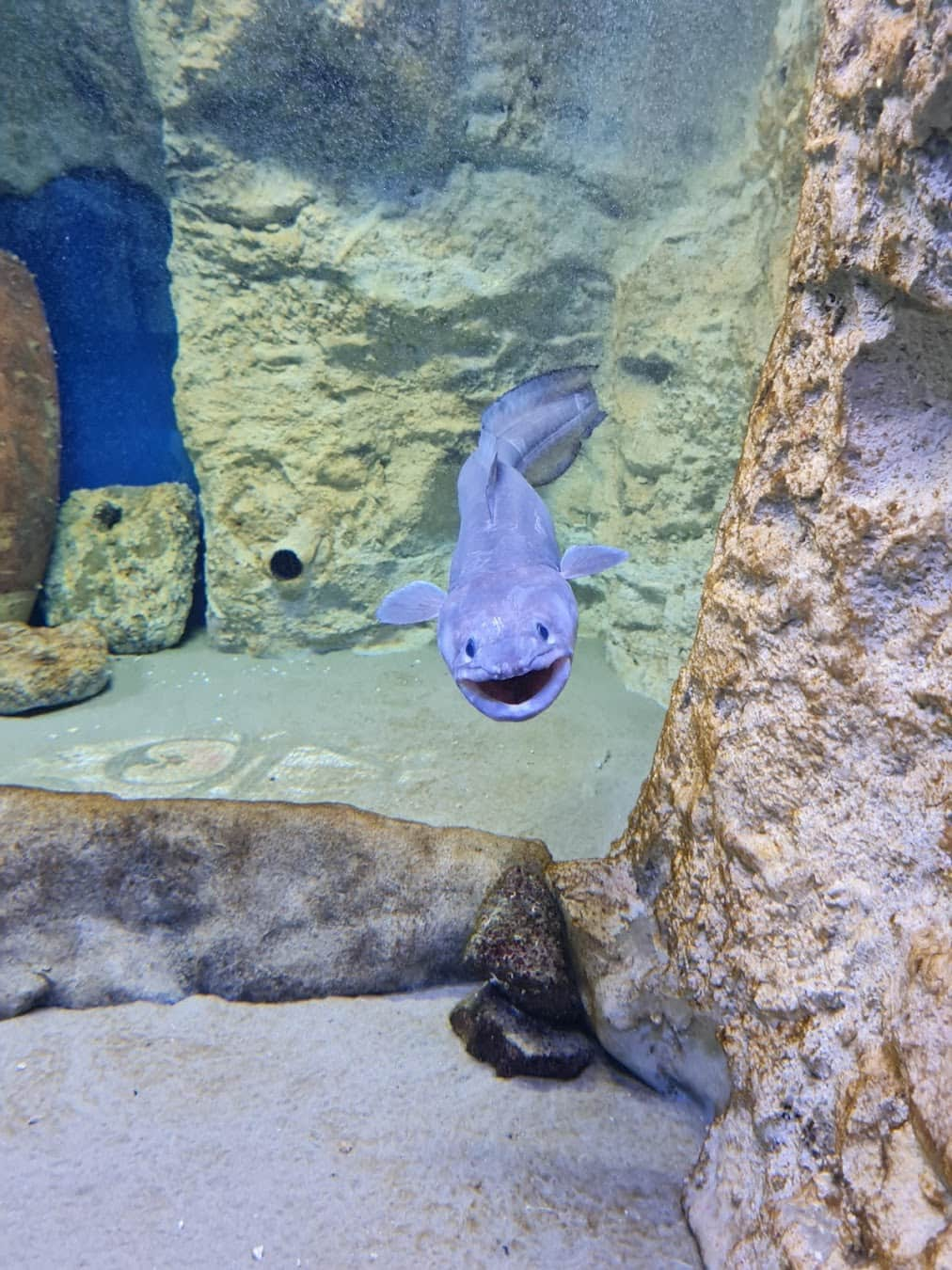 Naples Aquarium, Italy