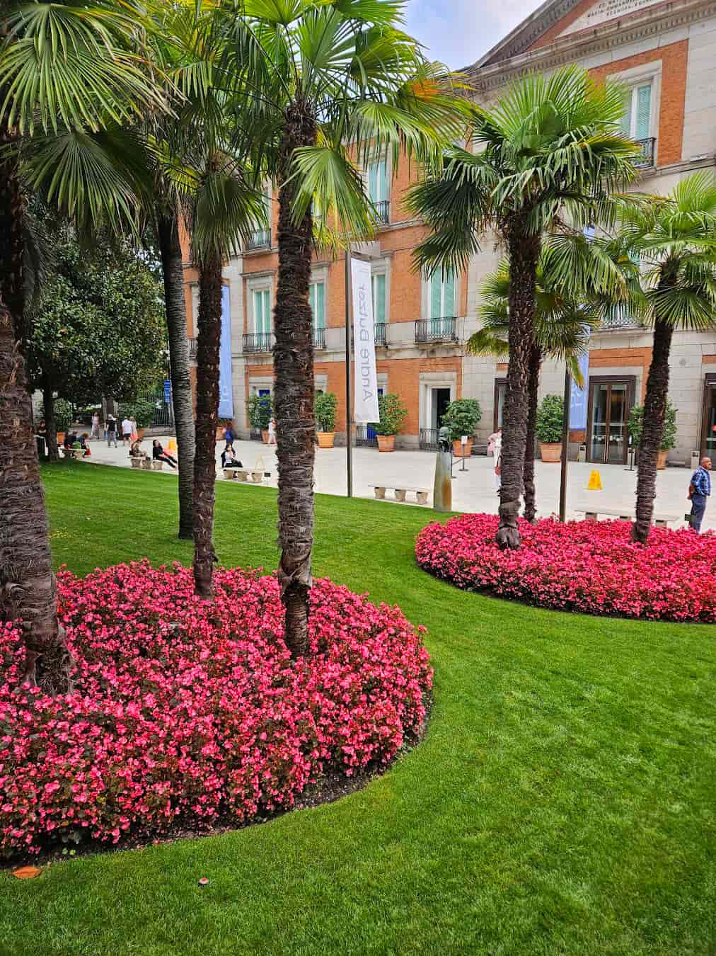 Palm Near Museum, Spain