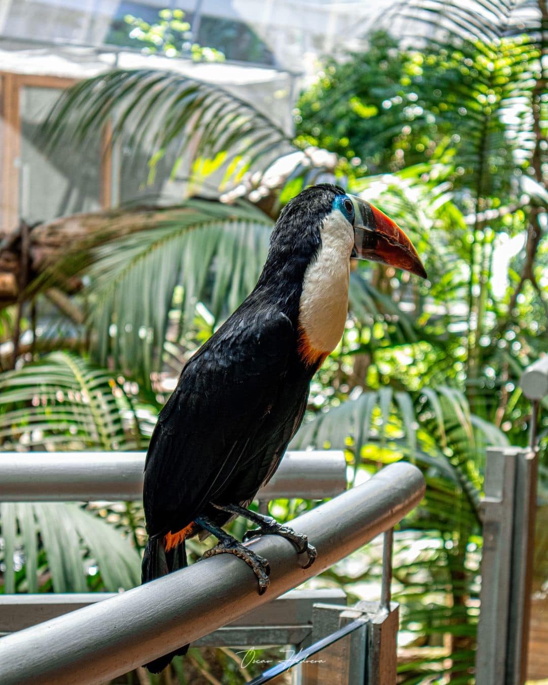 Parque de las Ciencias Bird, Granada