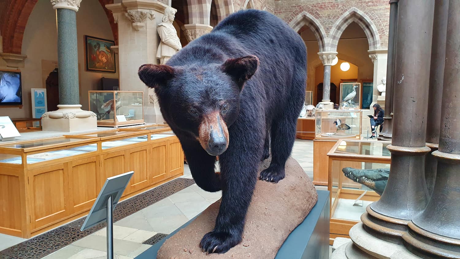 Pitt Rivers Museum