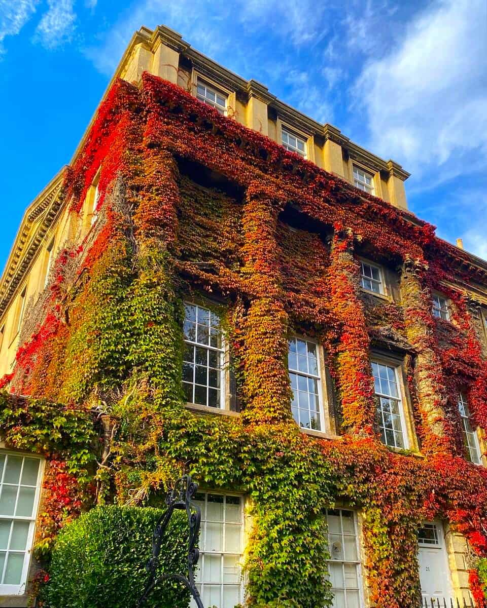 Pulteney Bridge Area, Bath