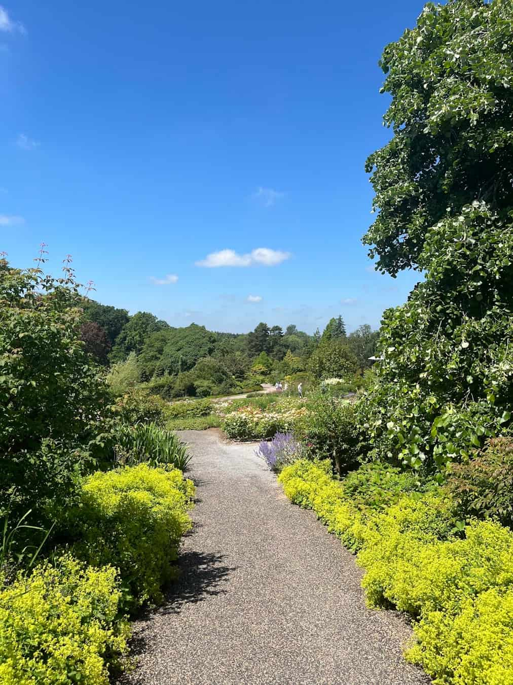 RHS Garden Harlow Carr, England