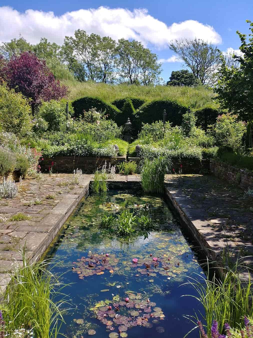 RHS Garden Harlow Carr Pond, England