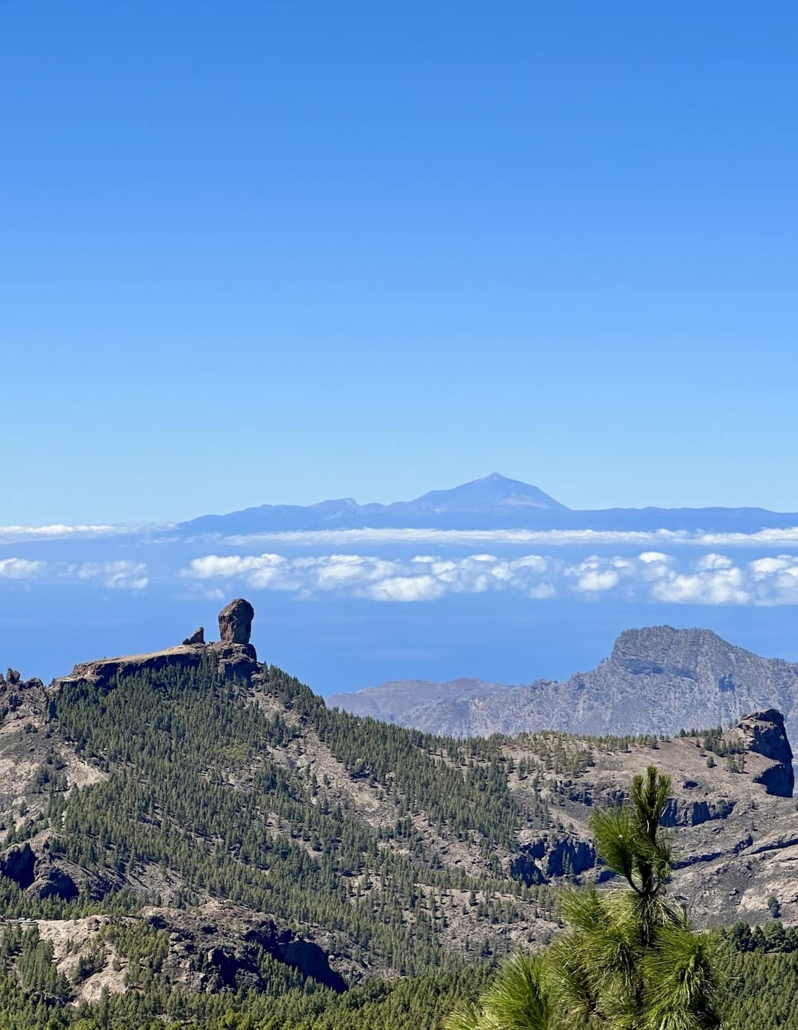 Roque Nublo