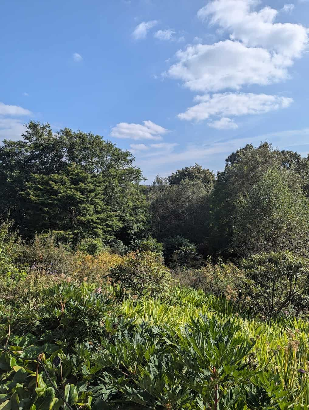 Royal Botanic Garden, Scotland