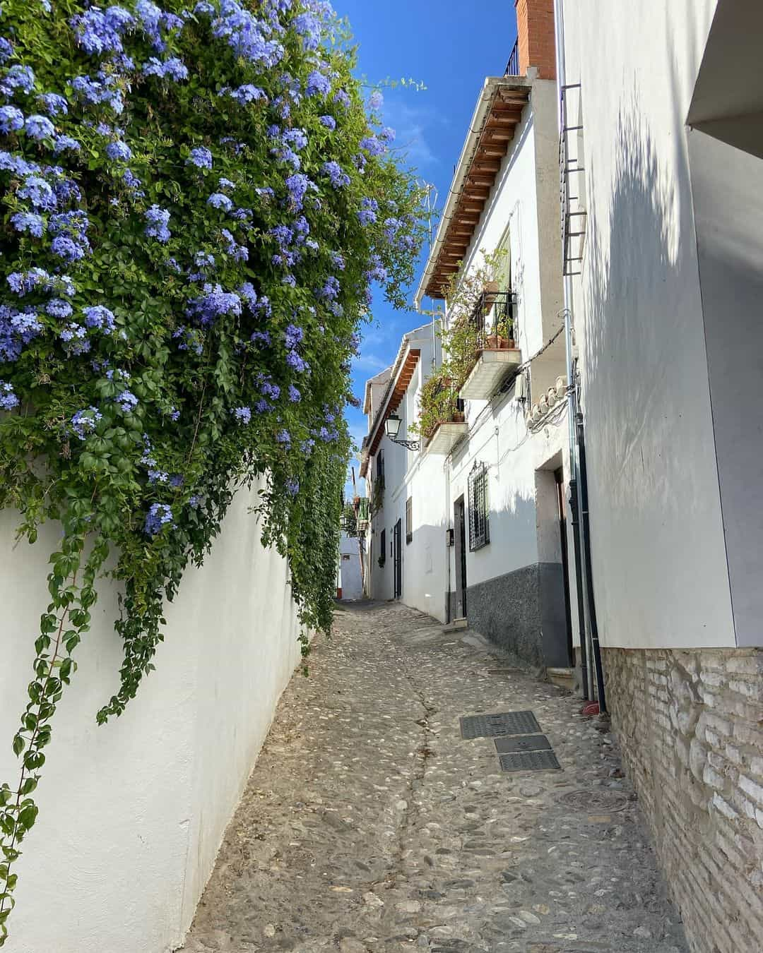 Sacromonte, Granada