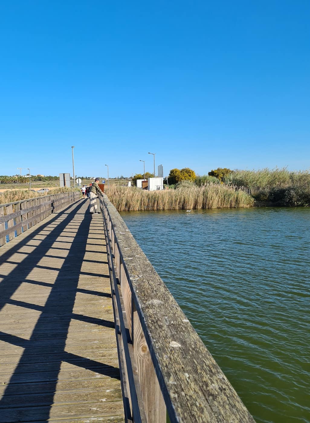 Salgados Lagoon