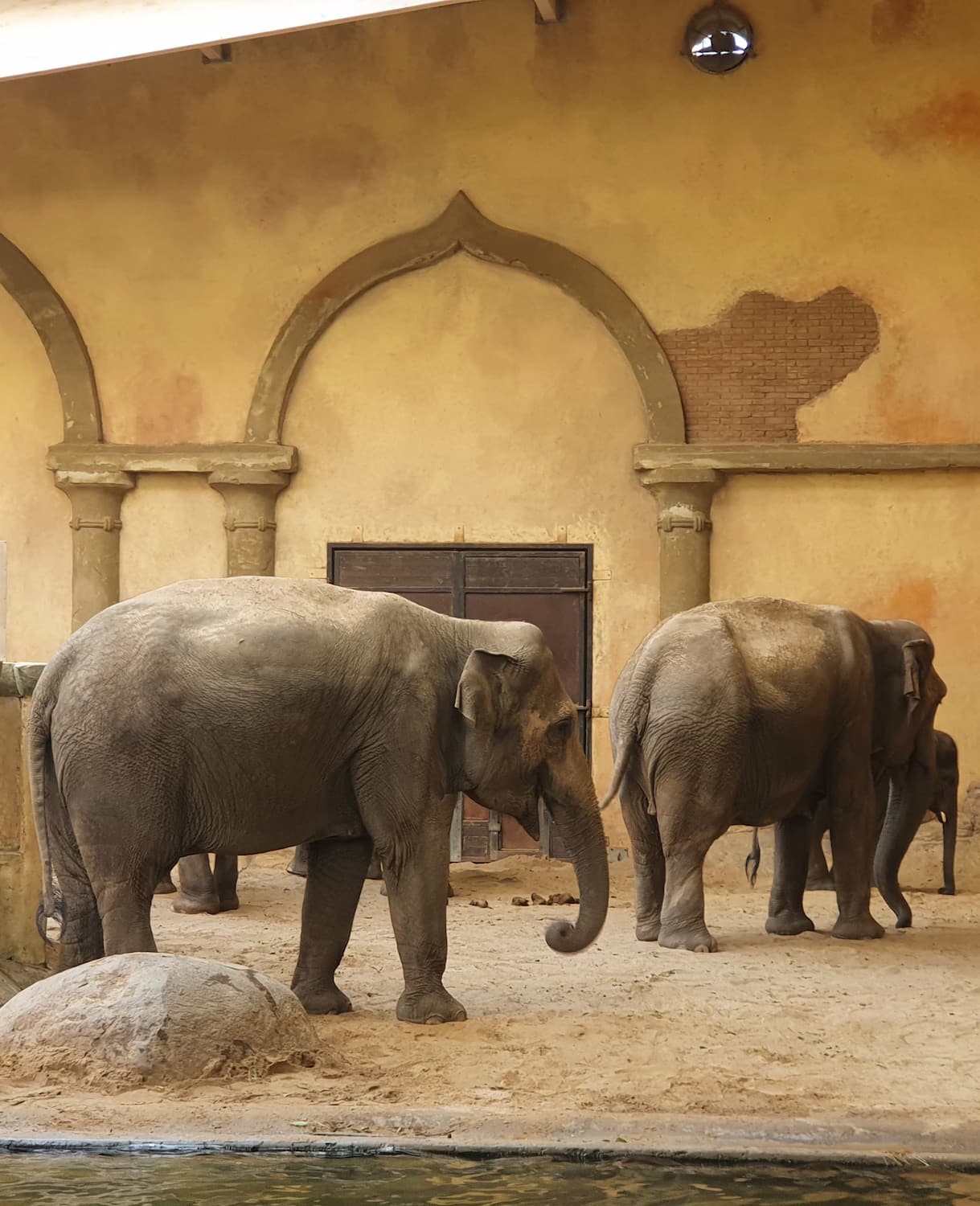 Tierpark Hagenbeck, Hamburg