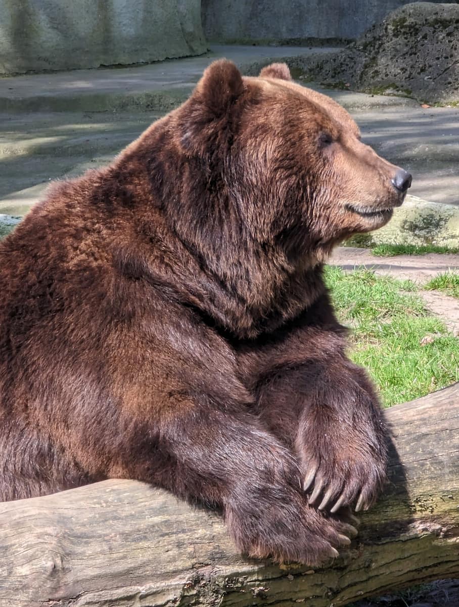 Tierpark Hagenbeck, Hamburg