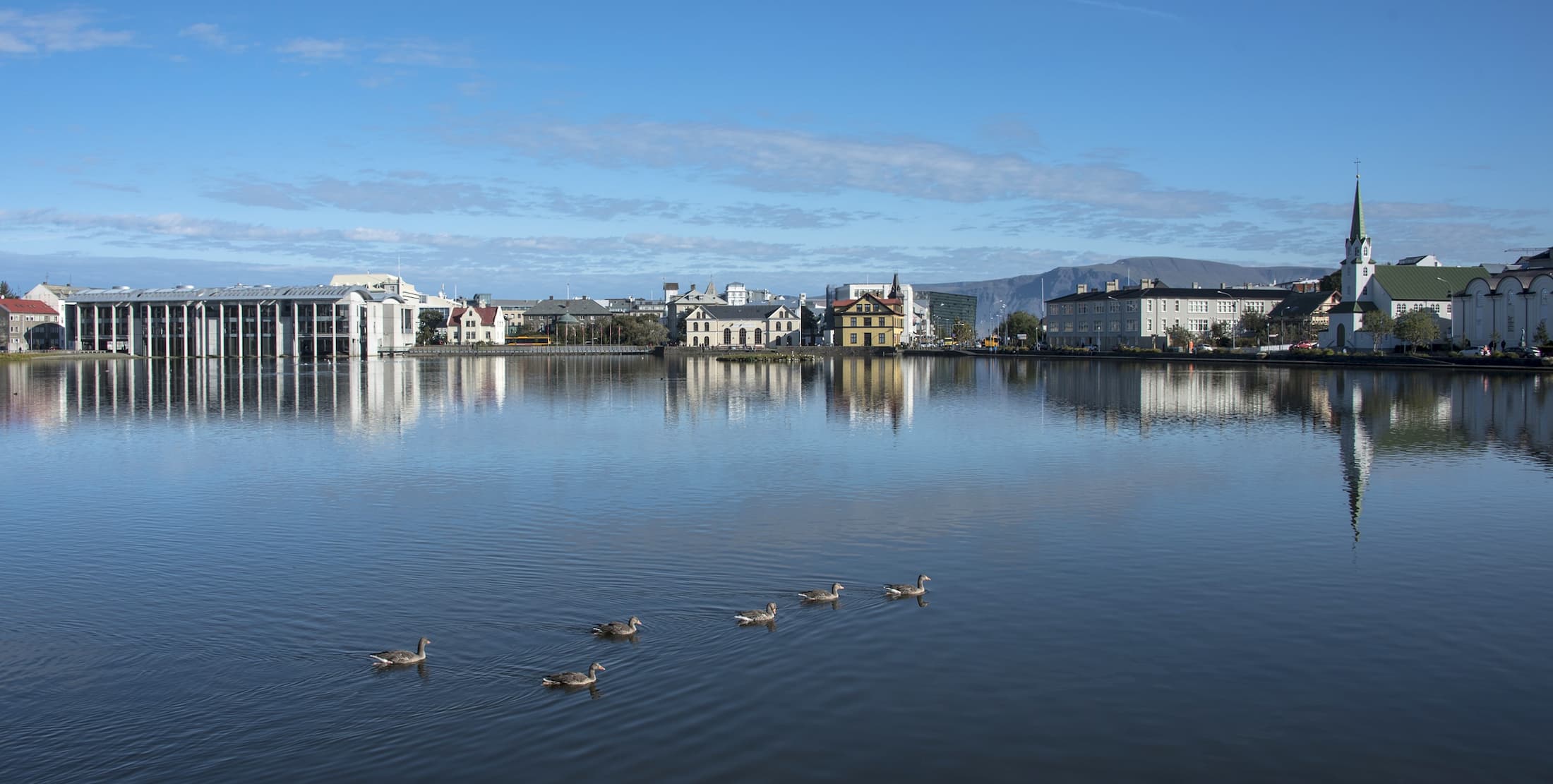 Tjörnin Pond