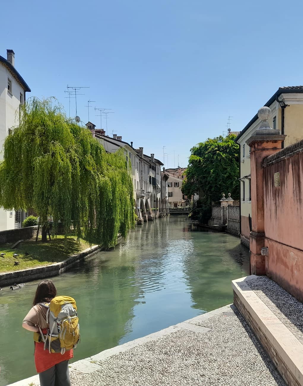 Treviso