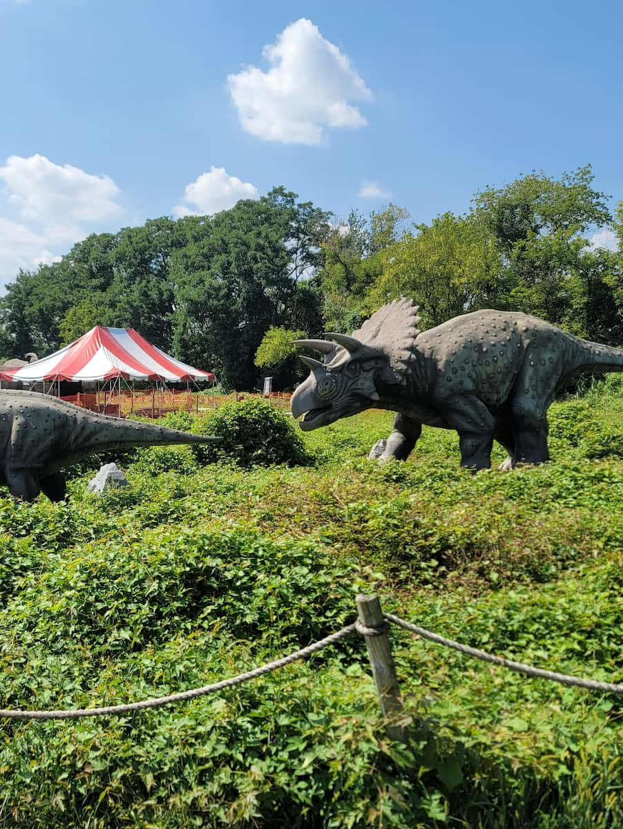 Triceratops Field Station Dinosaurs