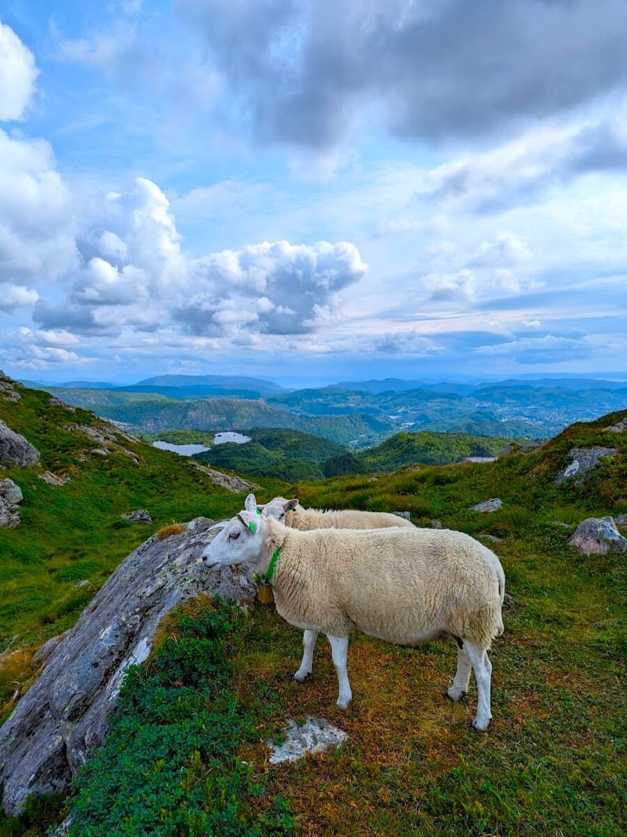 Ulriken, Bergen