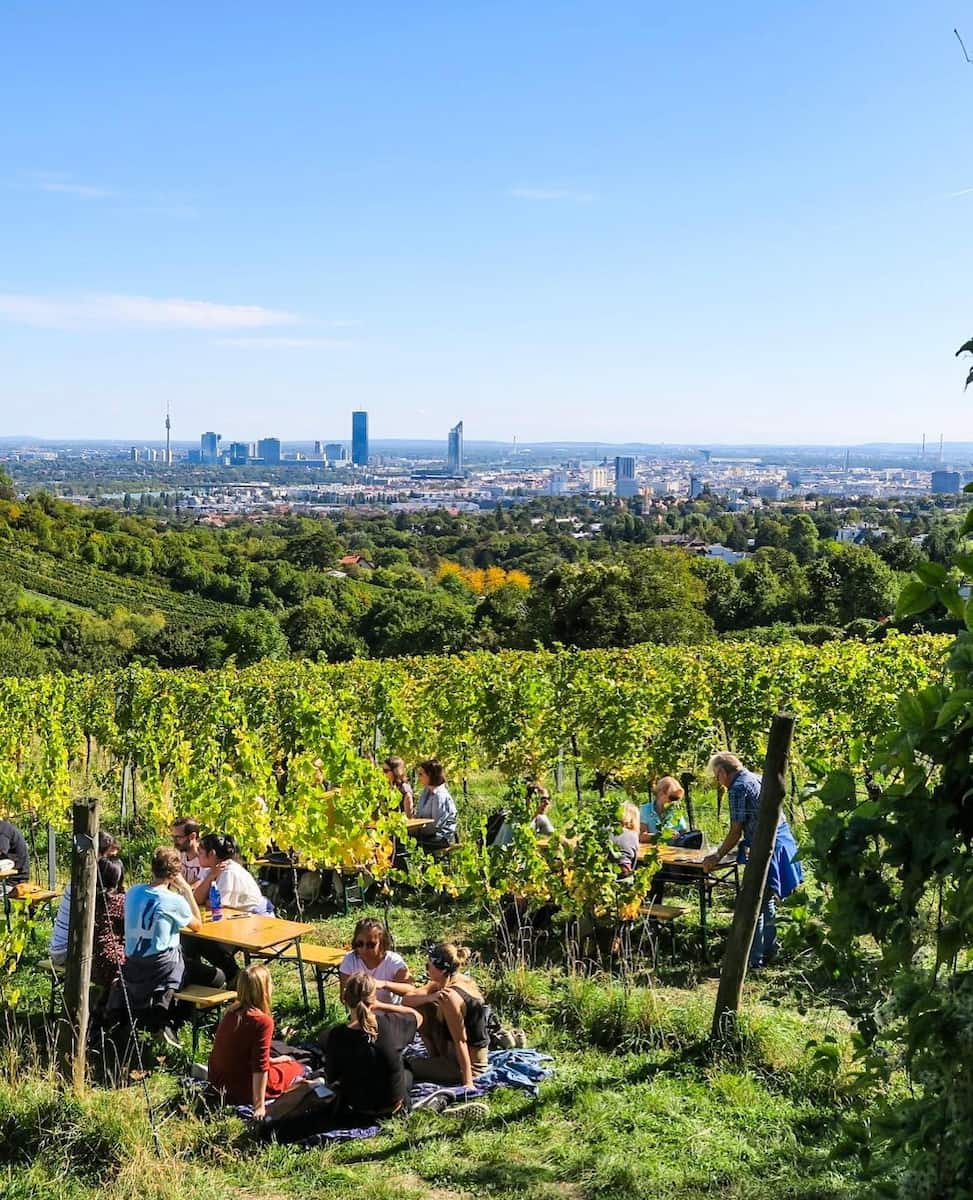 Vienna Wine Hiking Day