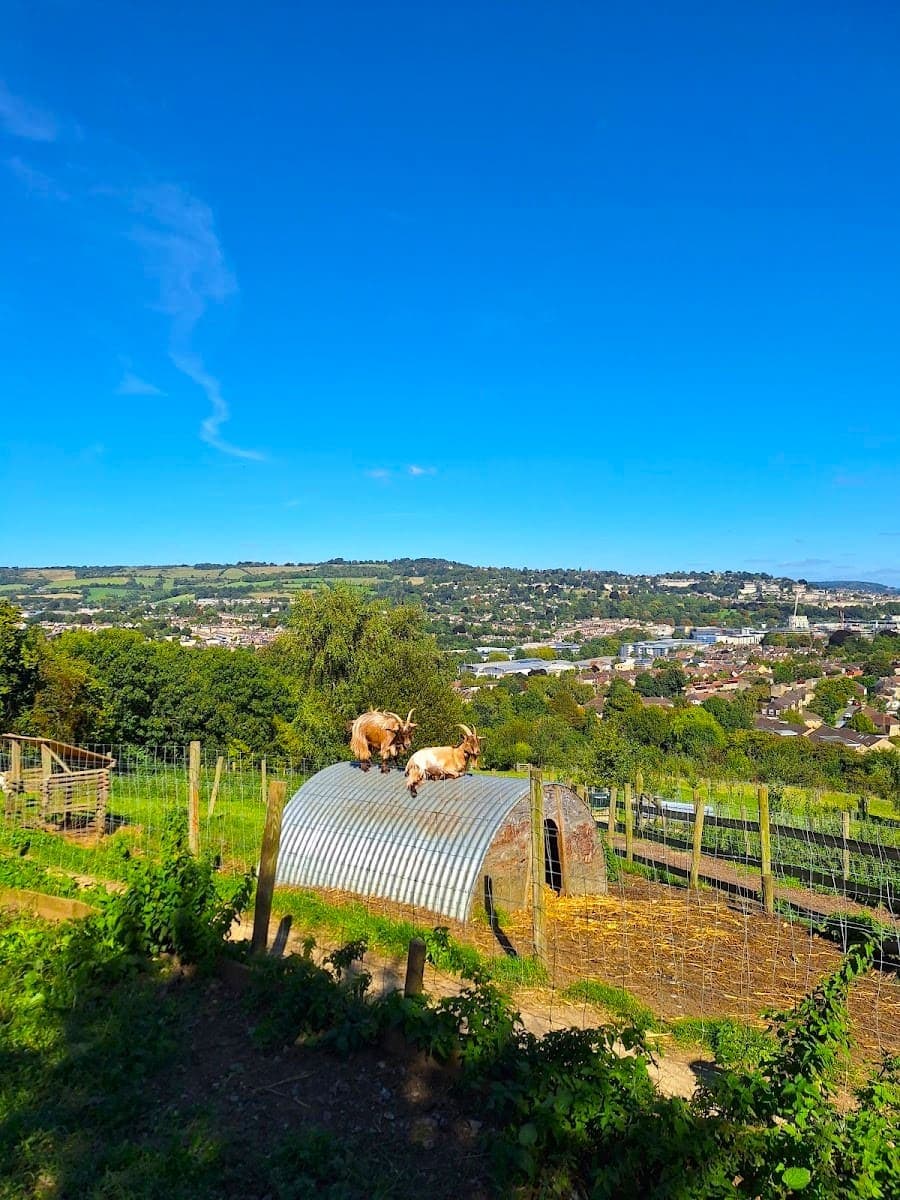 View from Bath City Farm