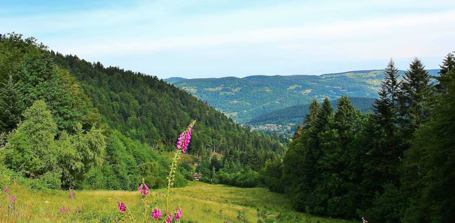 Vosges Mountains