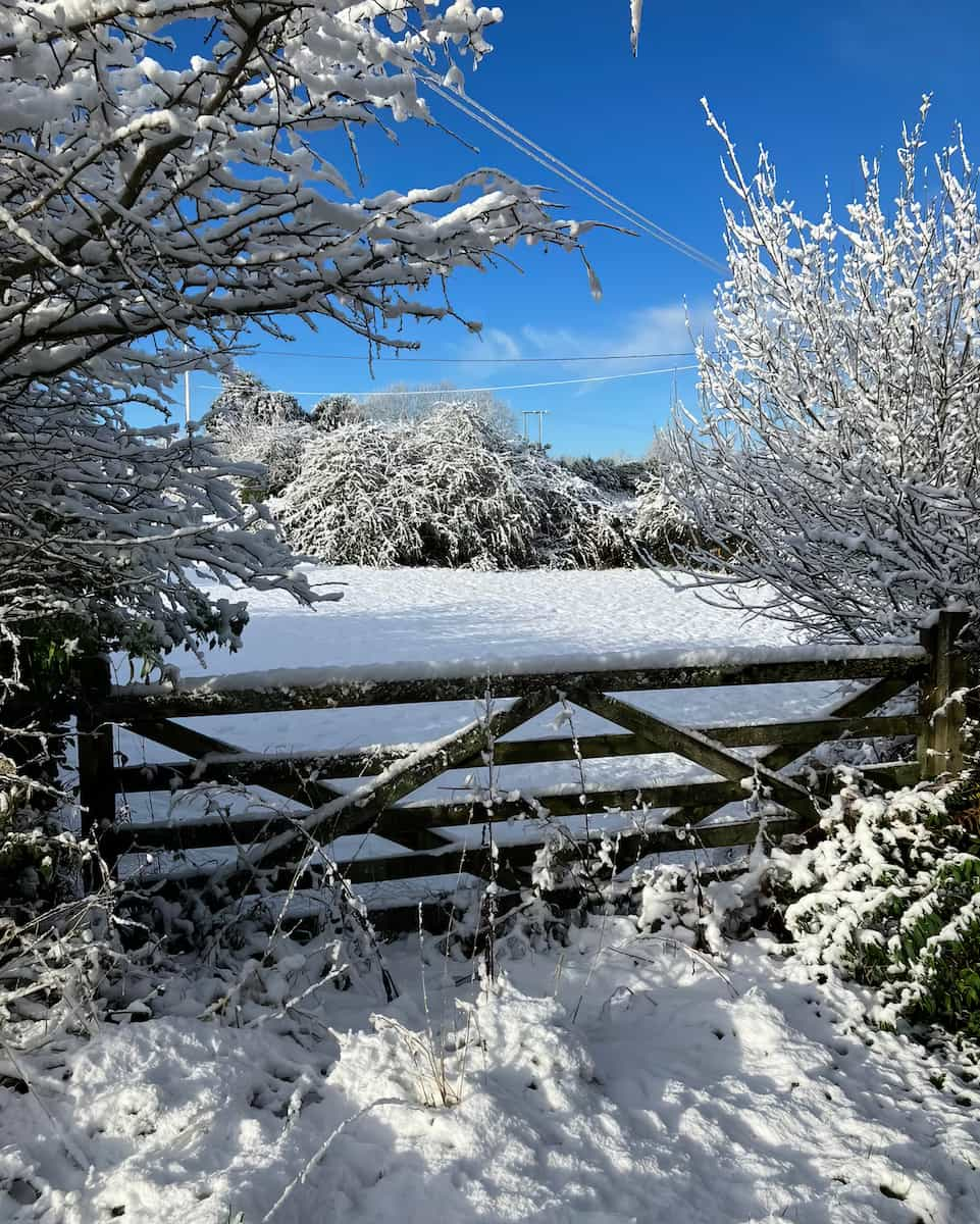 Winter in Cornwall