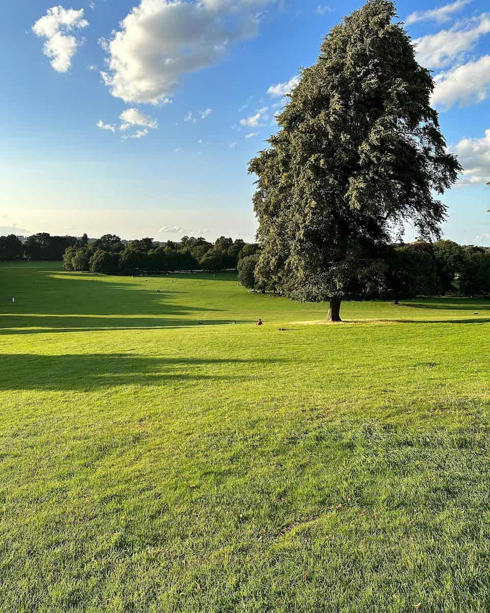 Wollaton Hall and Deer Park