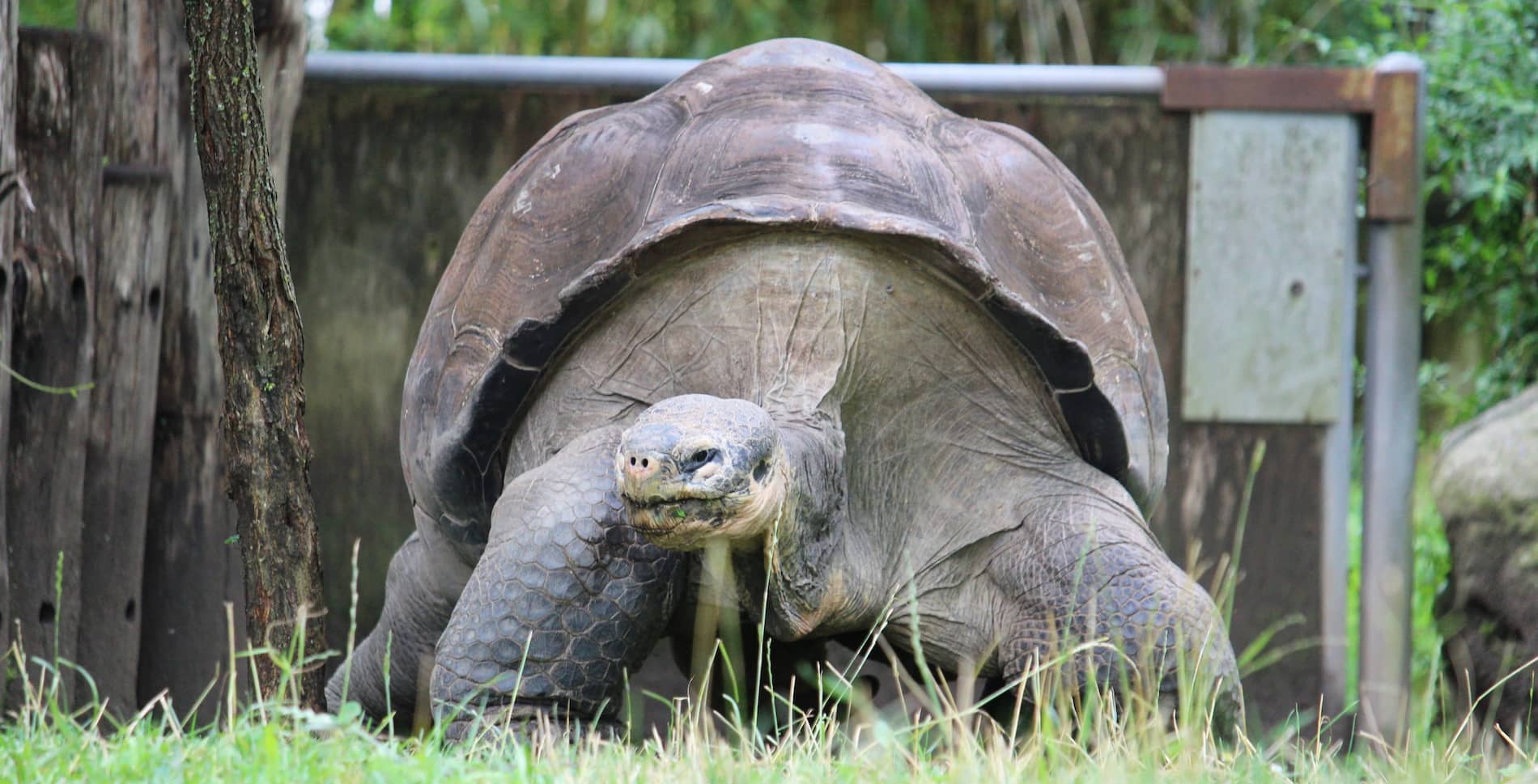 Zurich Zoo