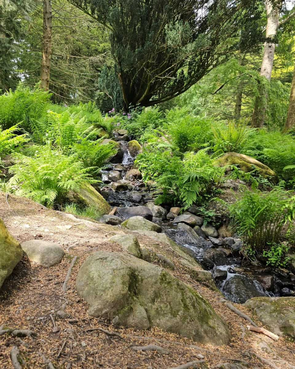 Aira Force, Lake District