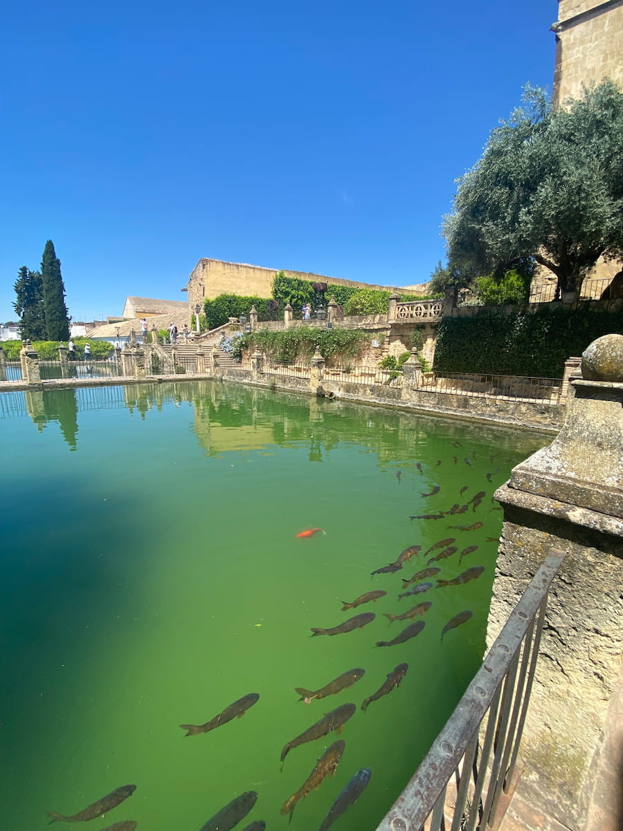 Alcázar de los Reyes Cristianos Cordoba