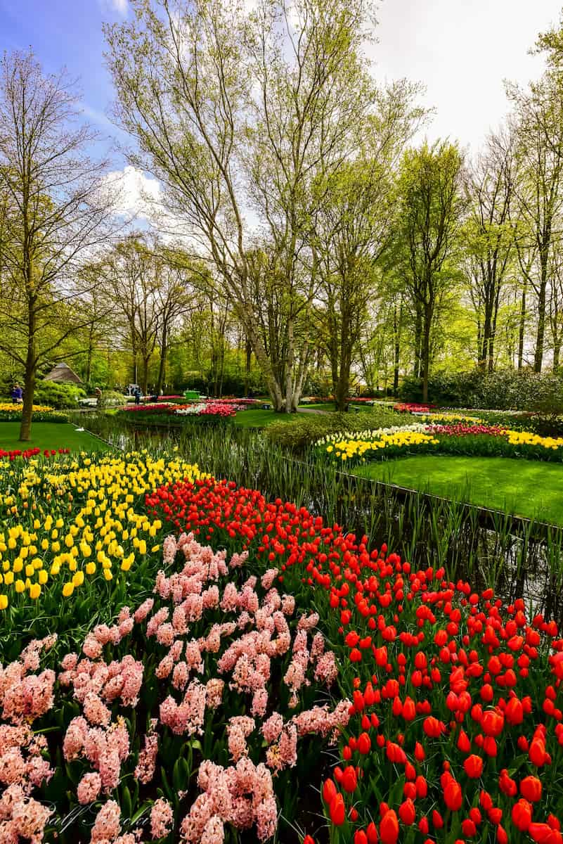 Amsterdam, Keukenhof Gardens