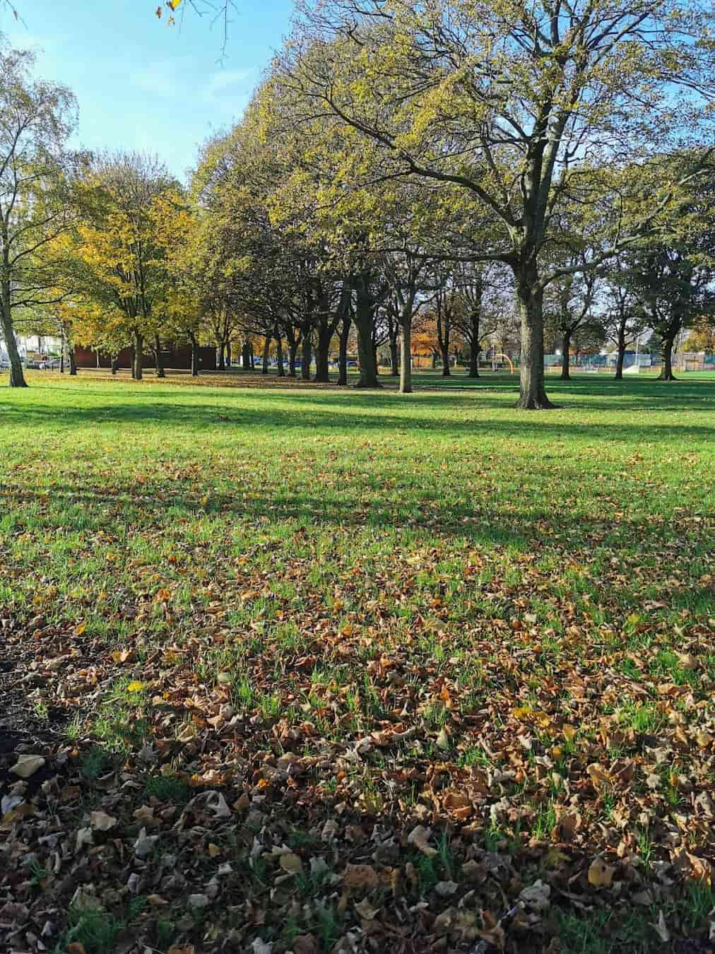 Autumn Ribbleton Park, Preston