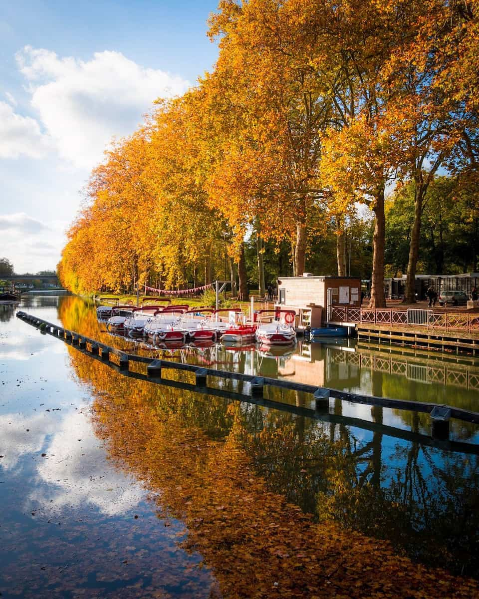 Autumn festivals in Lille