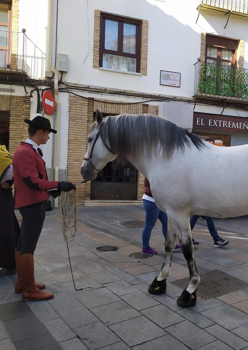 Autumn of the Horse Cordoba