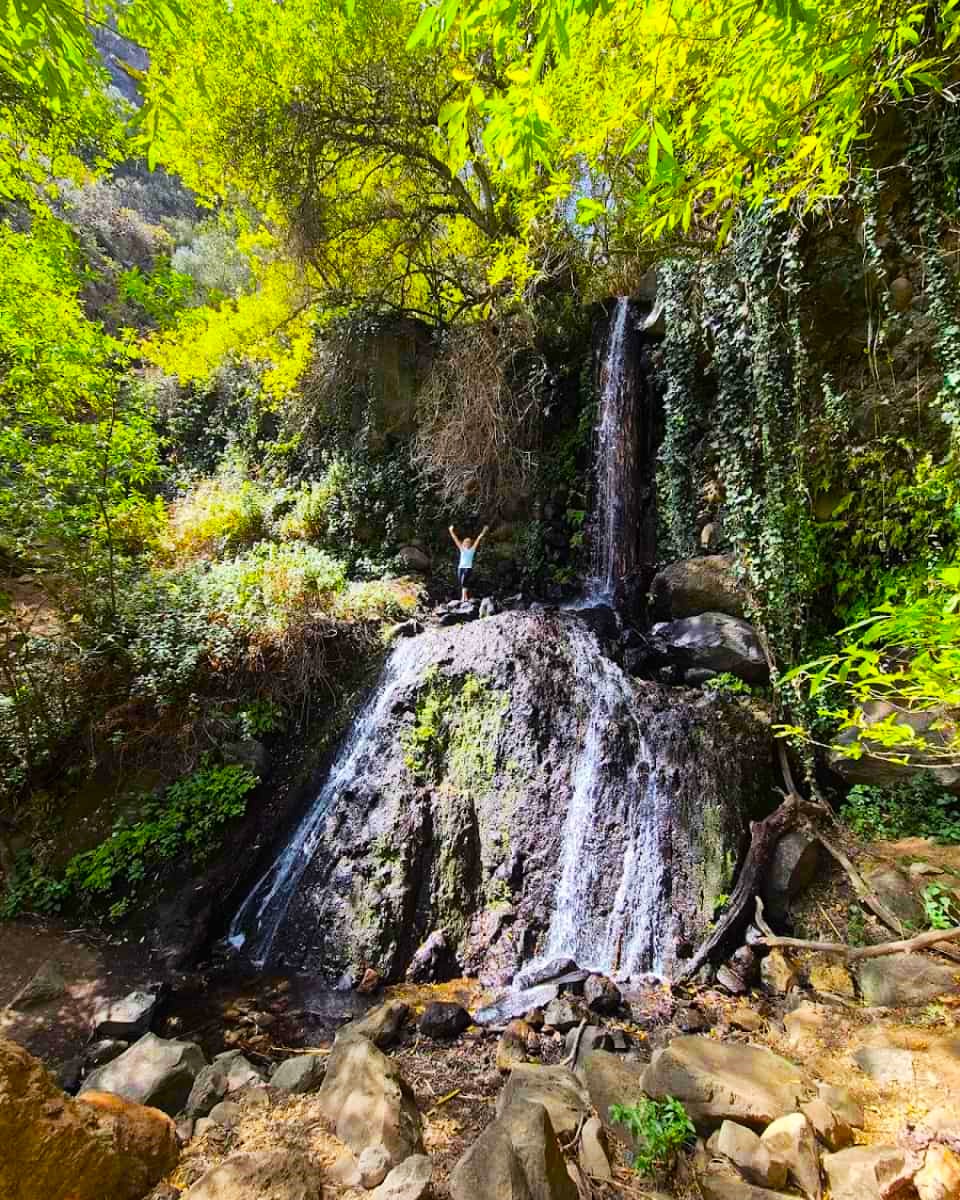 Barranco de los Cernícalos, Maspalomas