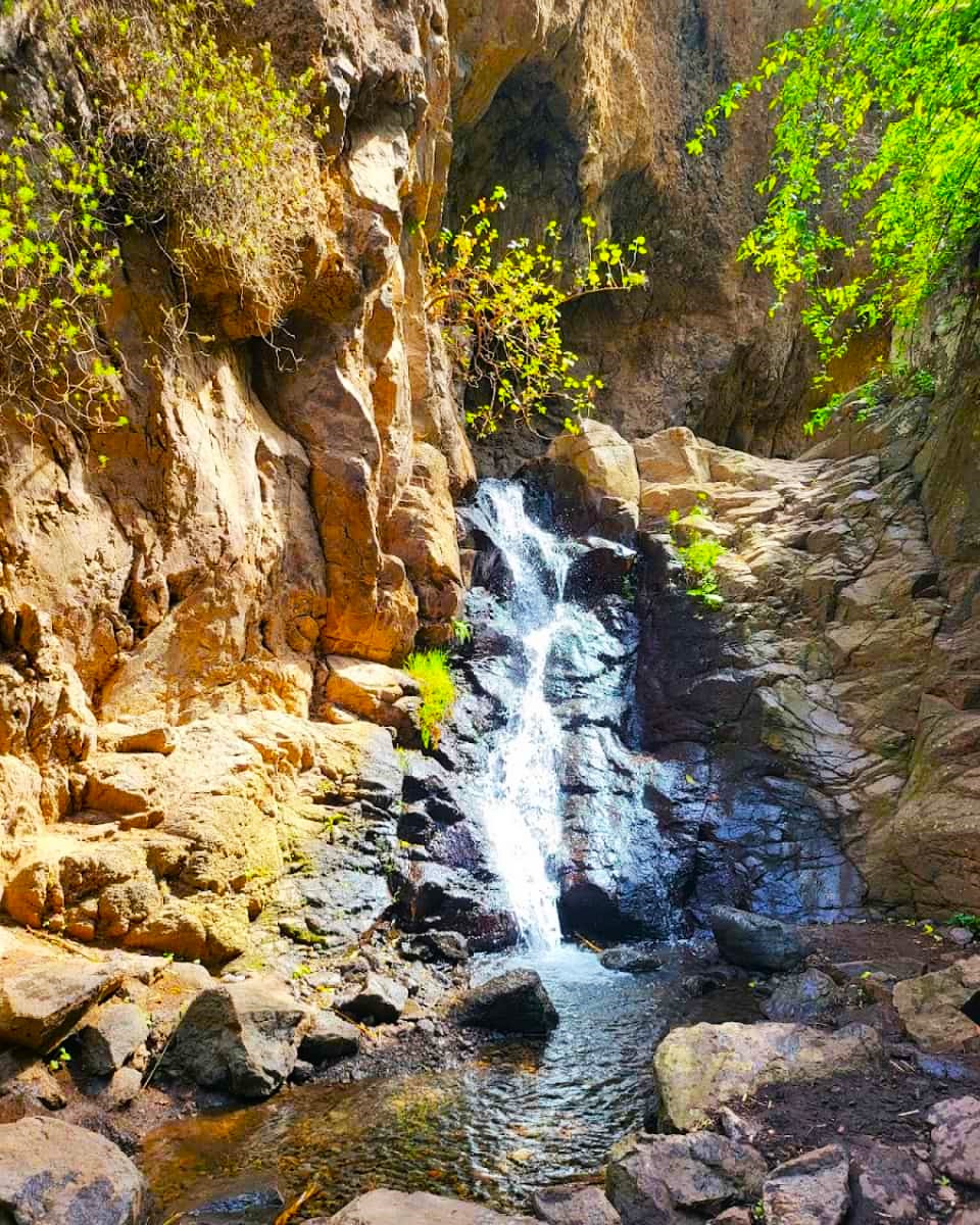 Barranco de los Cernícalos, Maspalomas