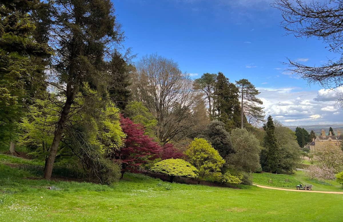 Batsford Arboretum, England