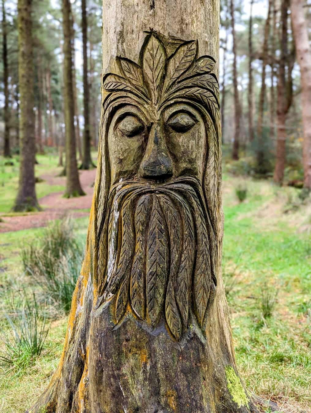 Beacon Fell Country Park Handmade Woodwork, Preston