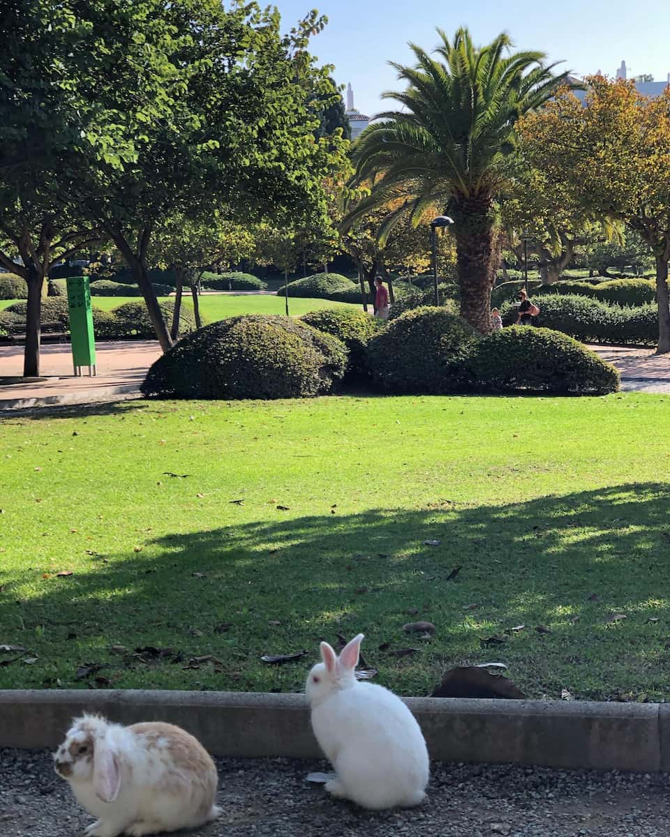 Benalmadena: Paloma Park