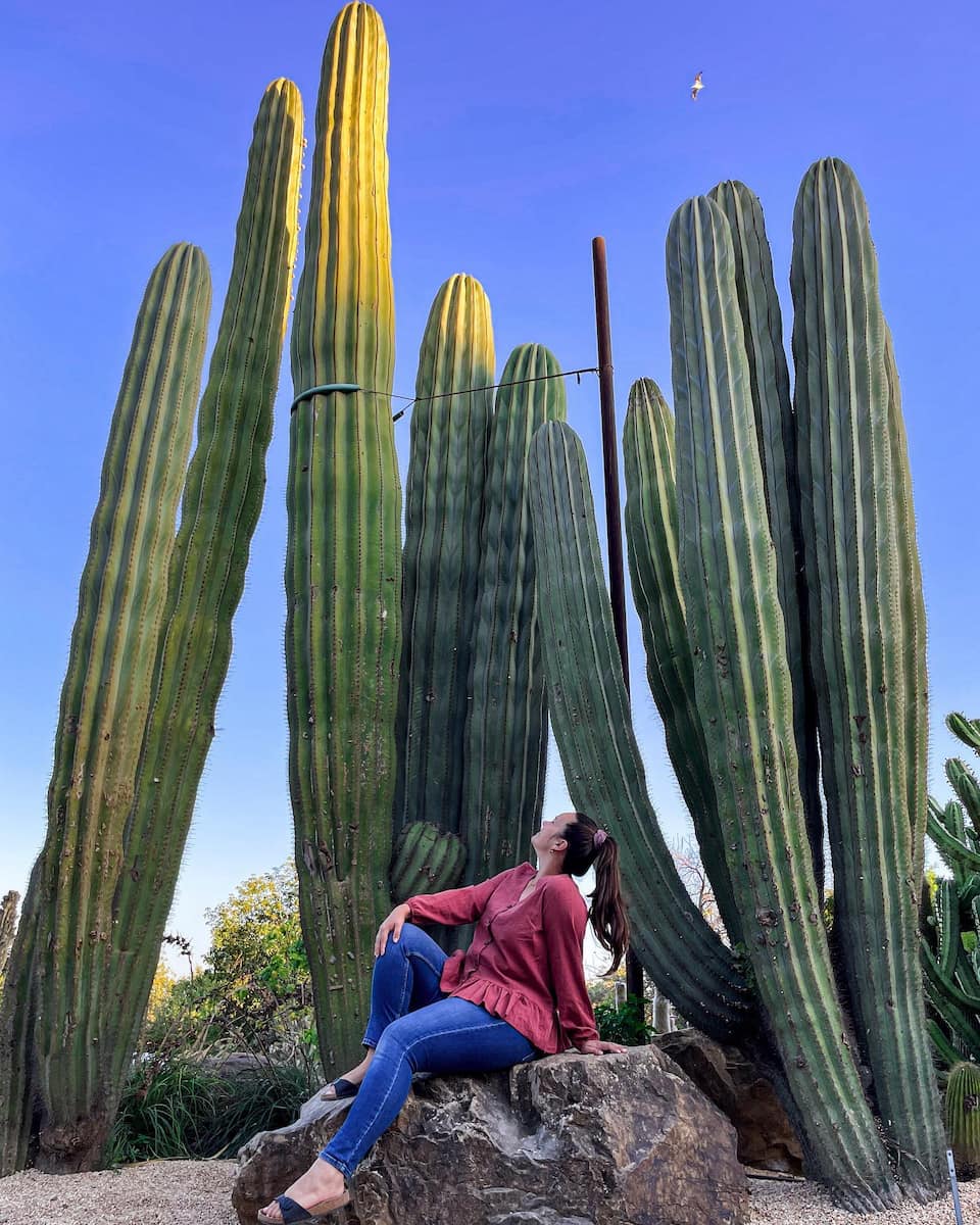 Benalmadena: Paloma Park