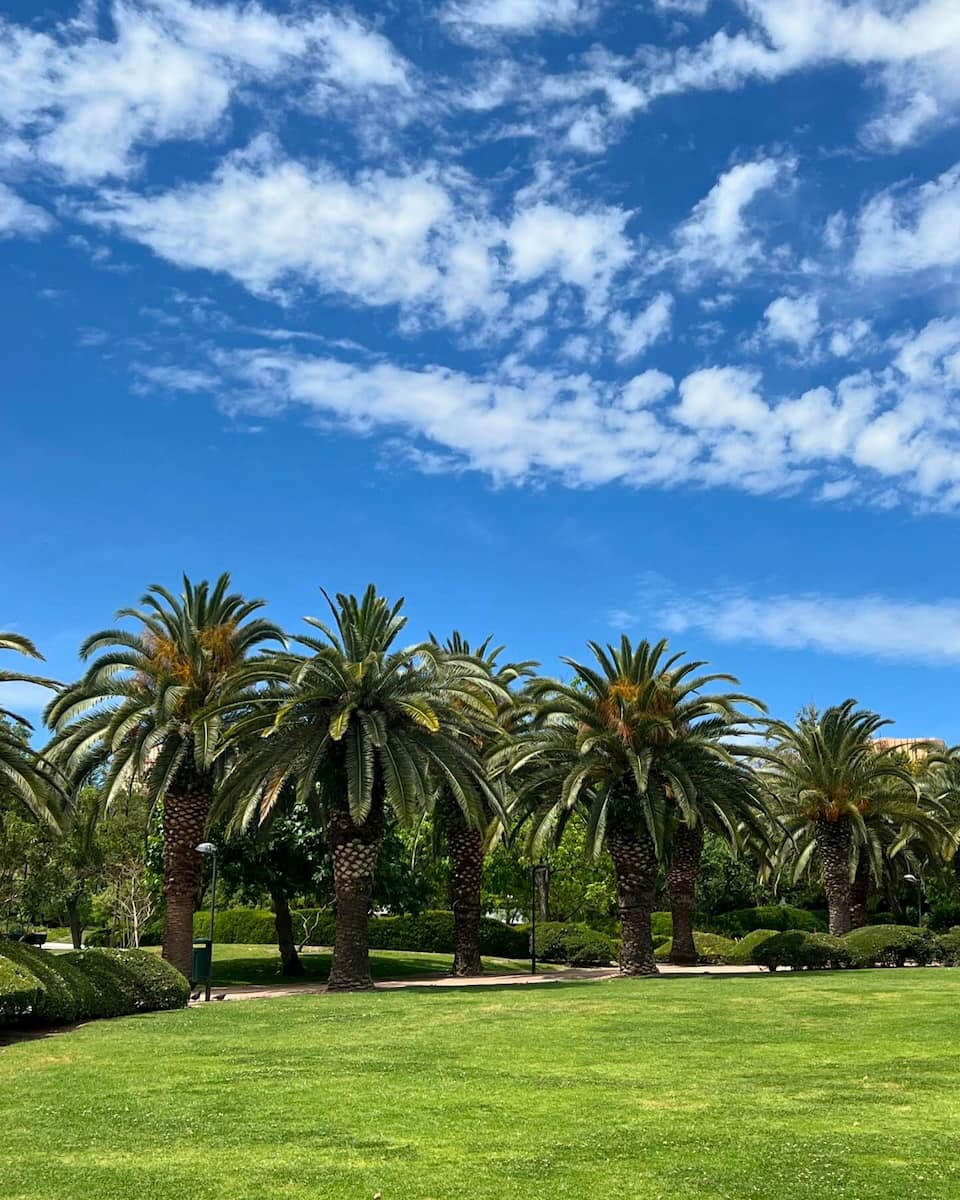 Benalmadena: Paloma Park