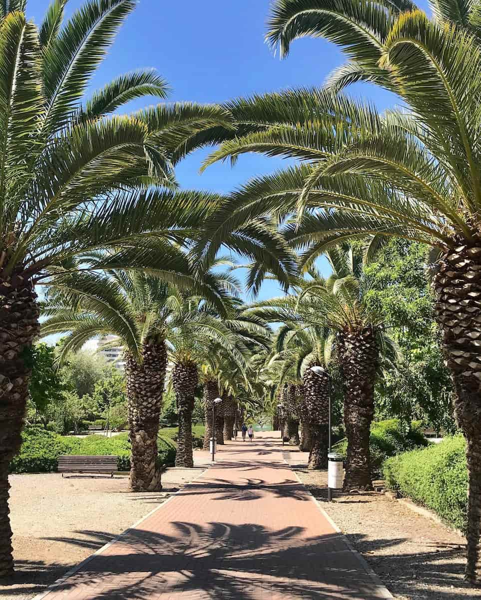 Benalmadena: Paloma Park