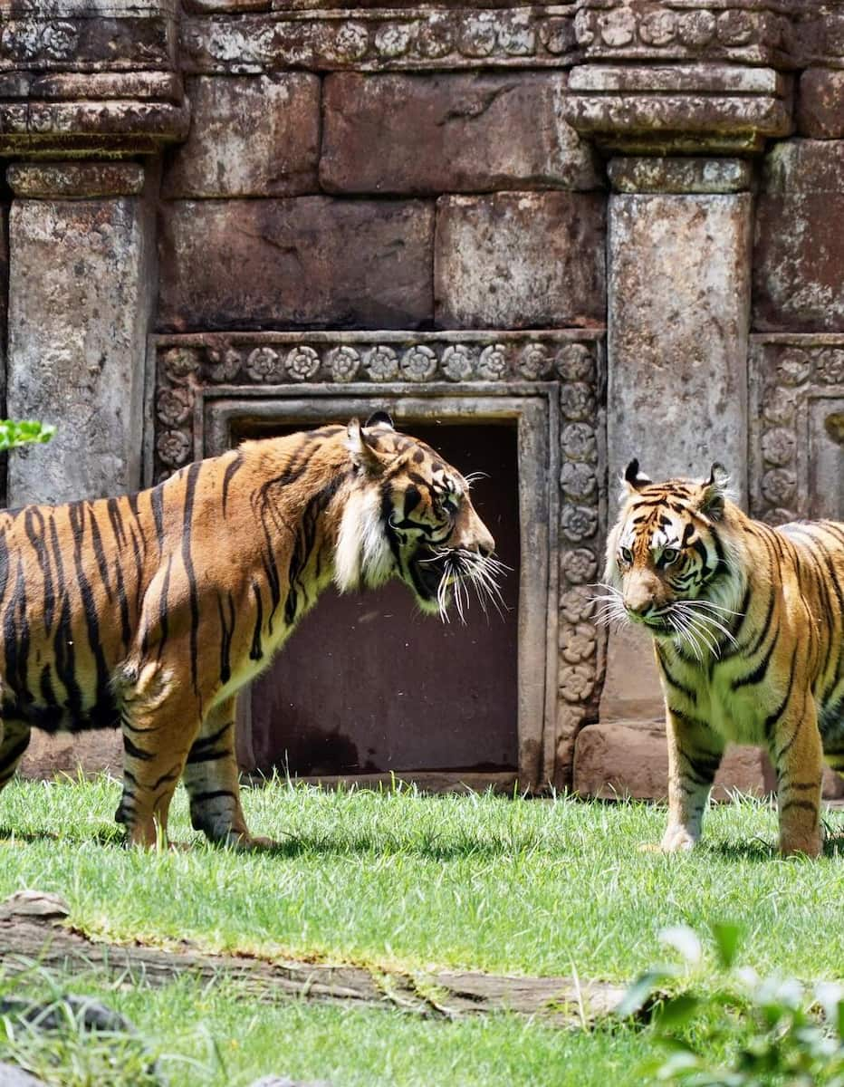 Bioparc Fuengirola