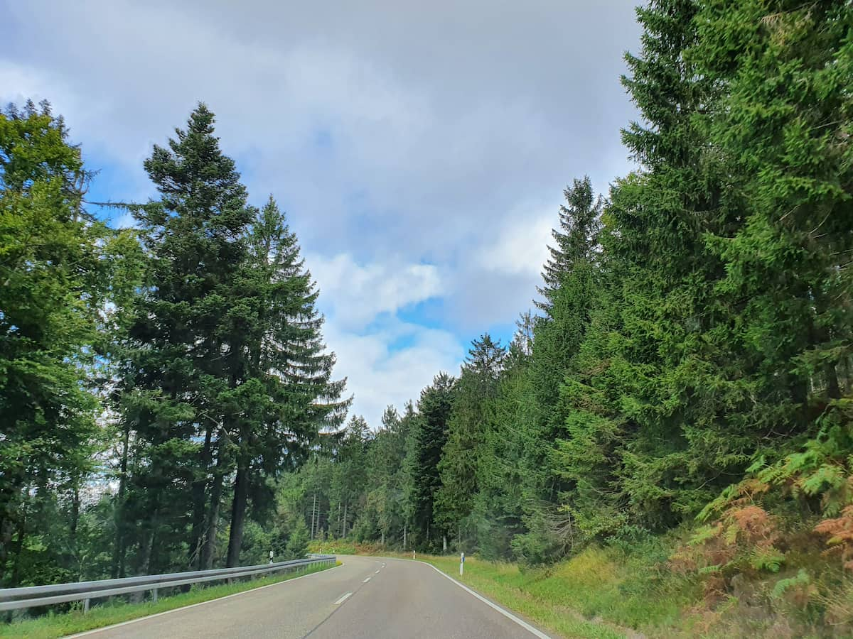 Black Forest High Road