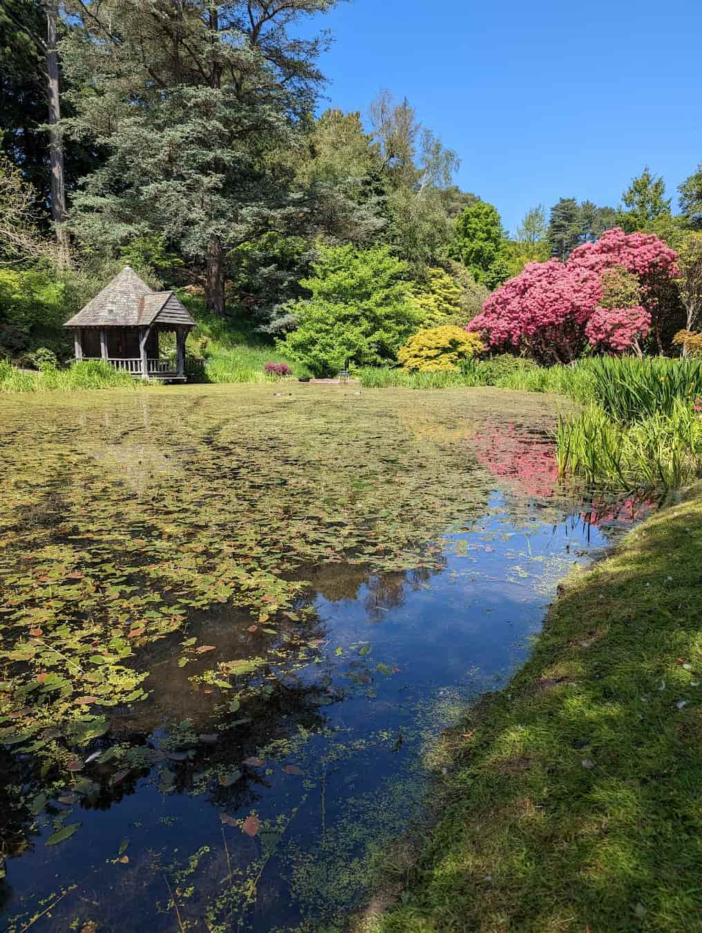 Bodnant Garden, England