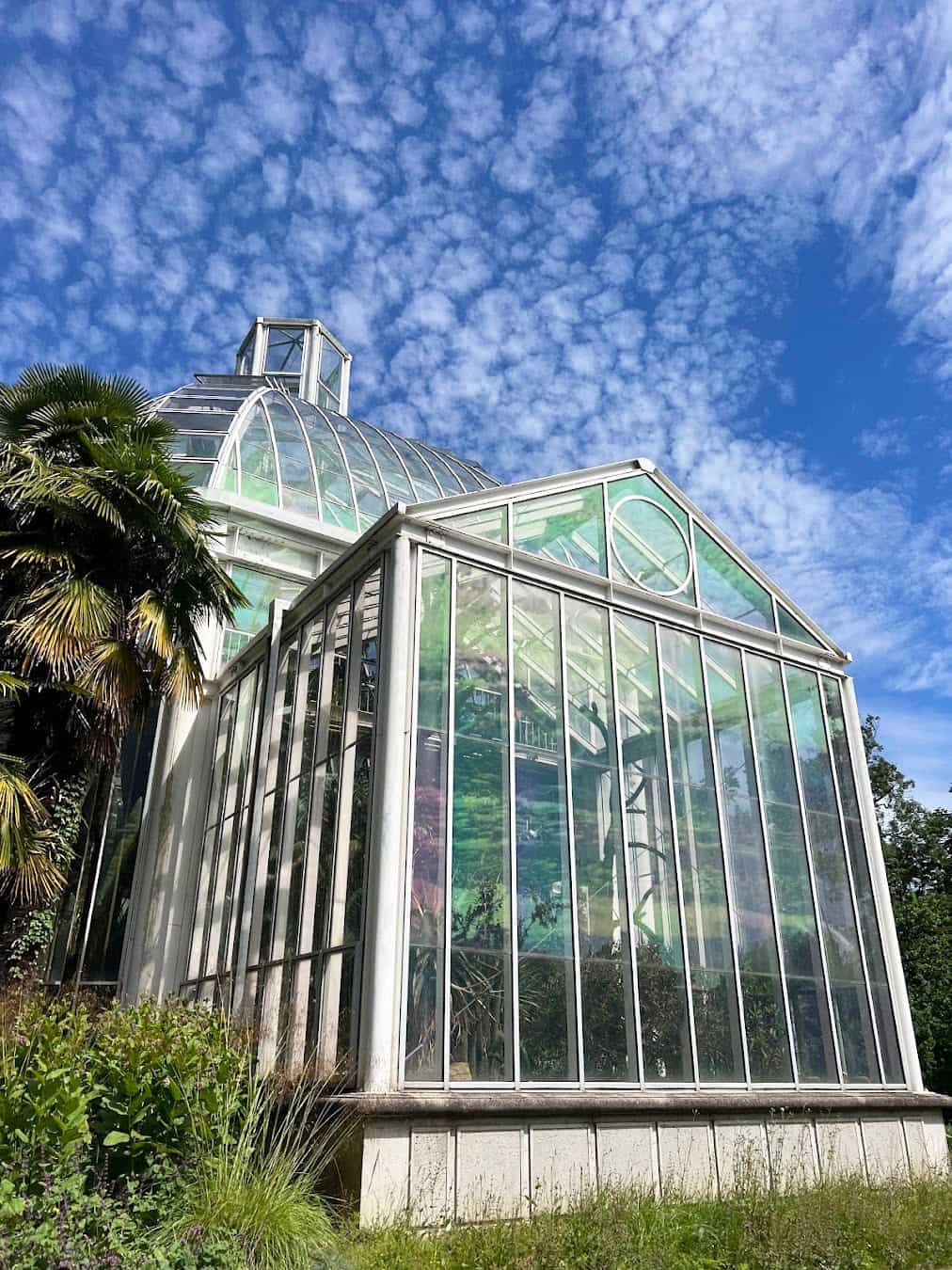 Botanical Garden Greenhouse, Switzerland