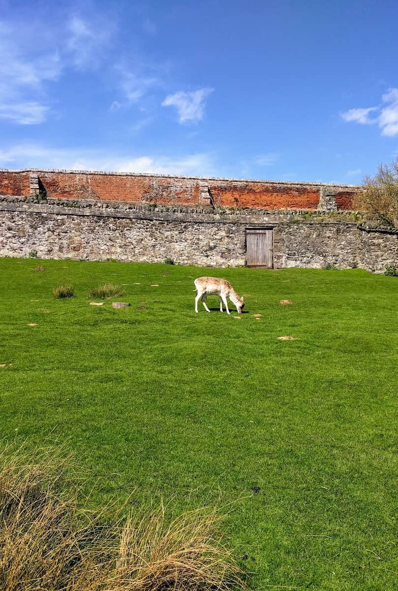 Bradgate Park