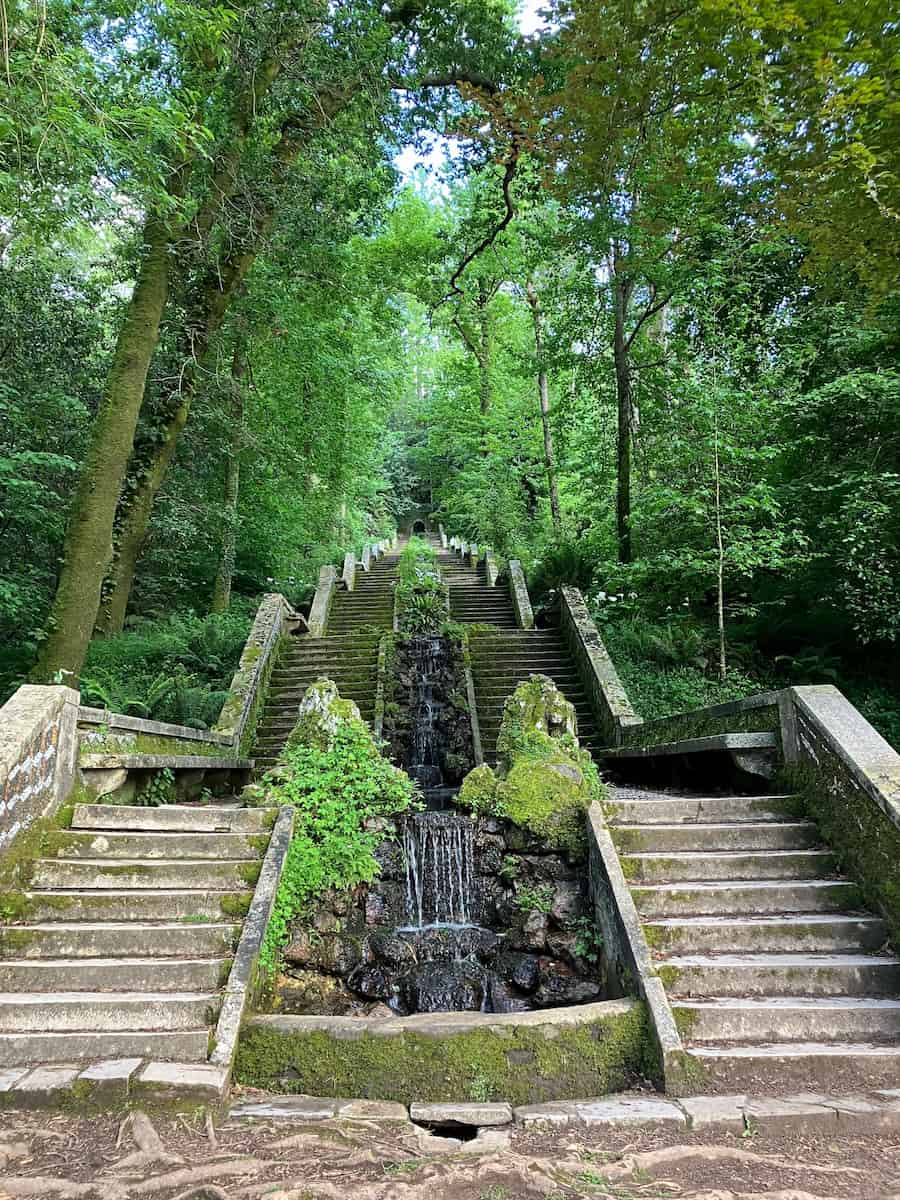 Buçaco National Forest