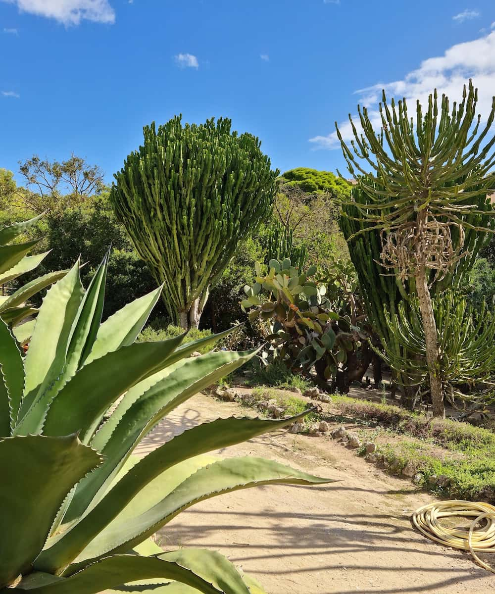 Cagliari, Botanical Gardens