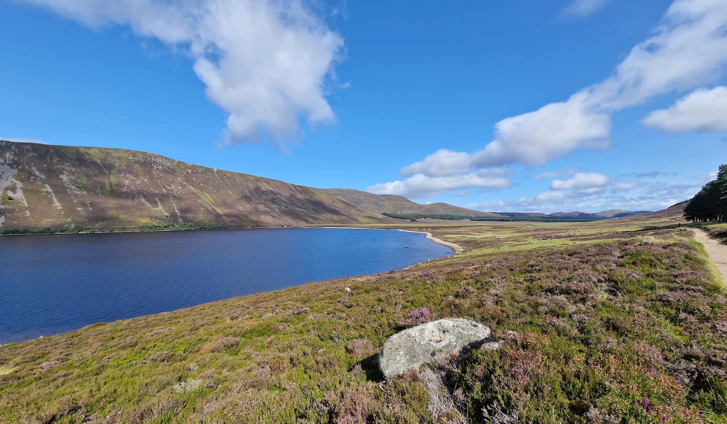 Cairngorms National Park Scotland