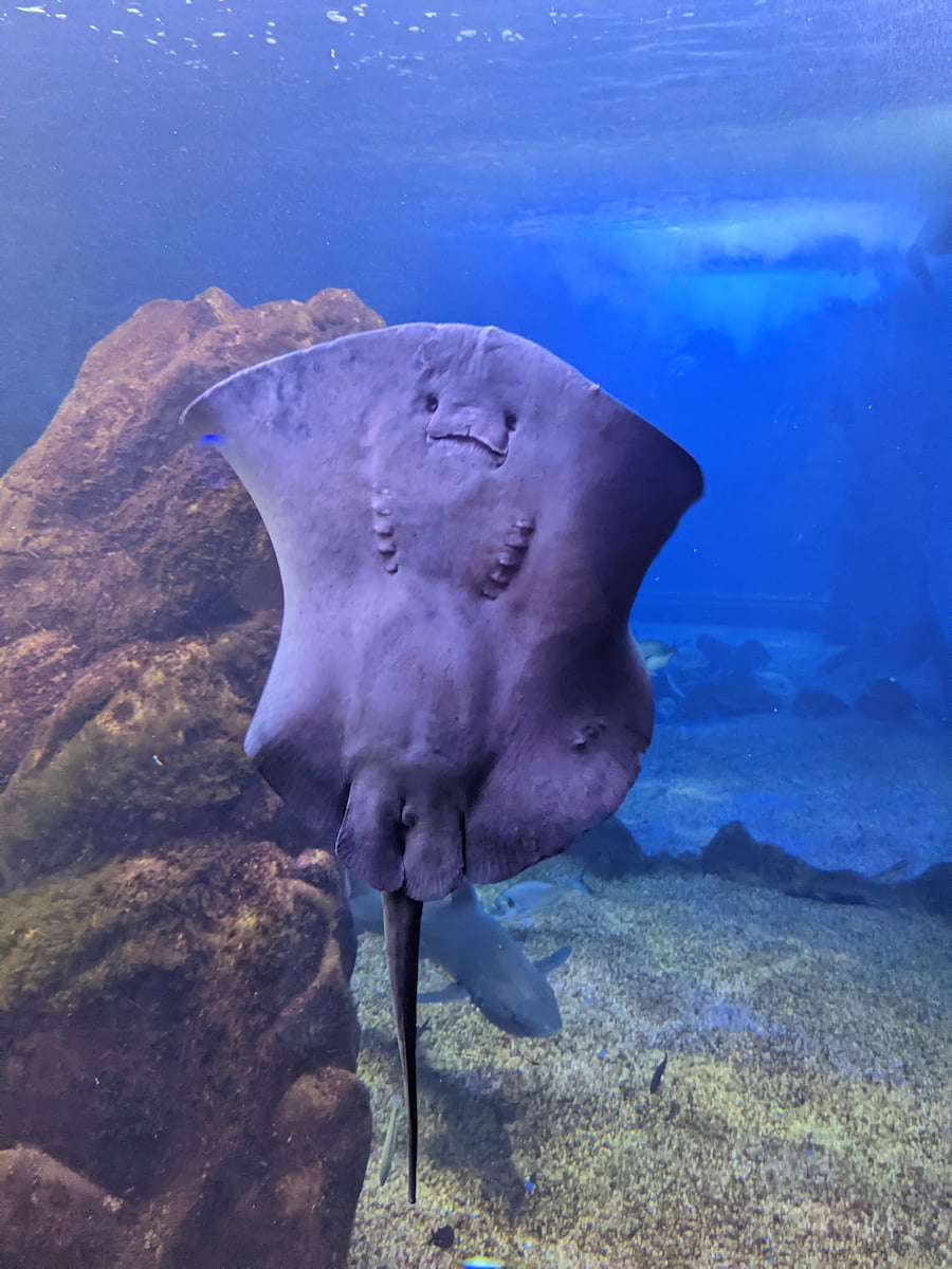 Cala Gonone Aquarium Sardinia