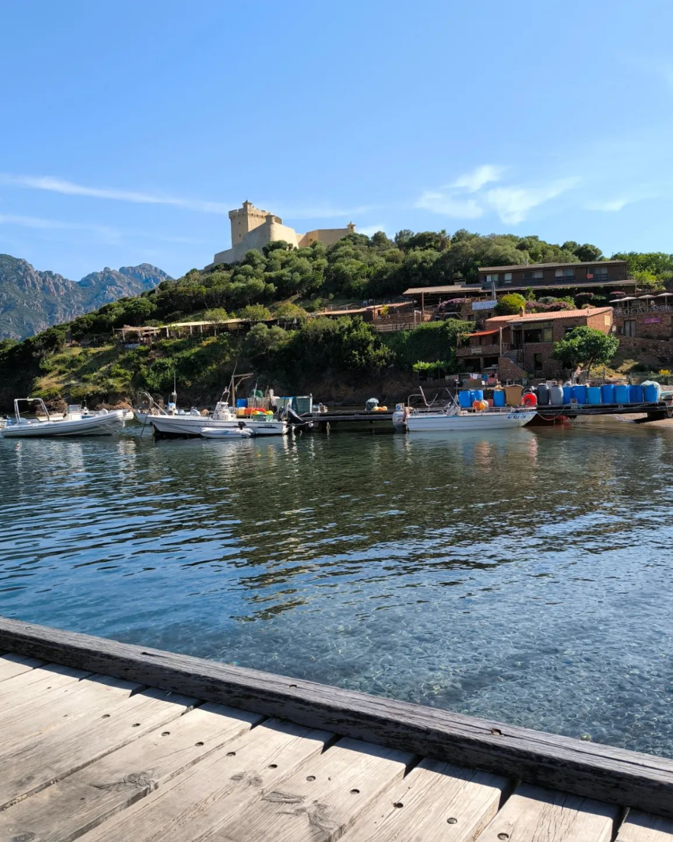 Calvi, Marina