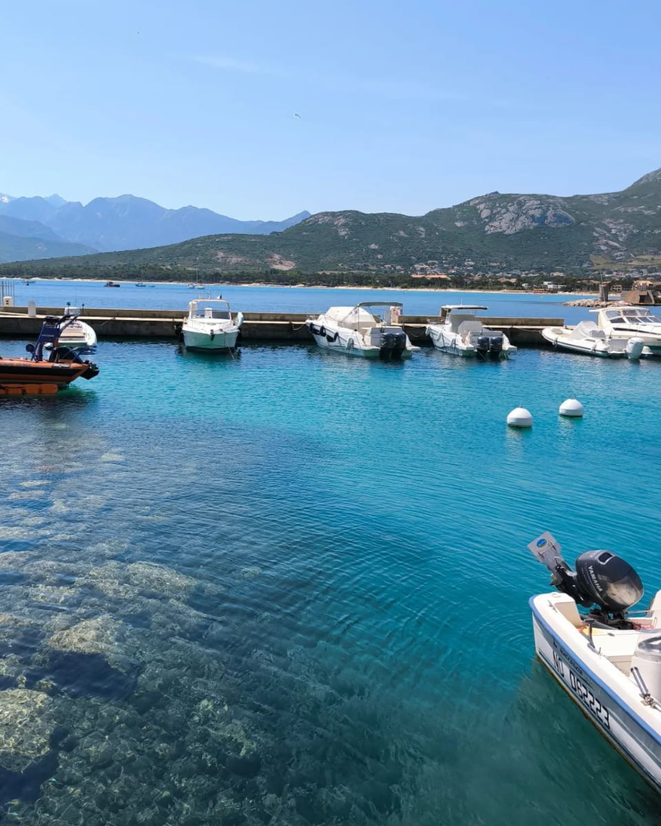 Calvi, Marina